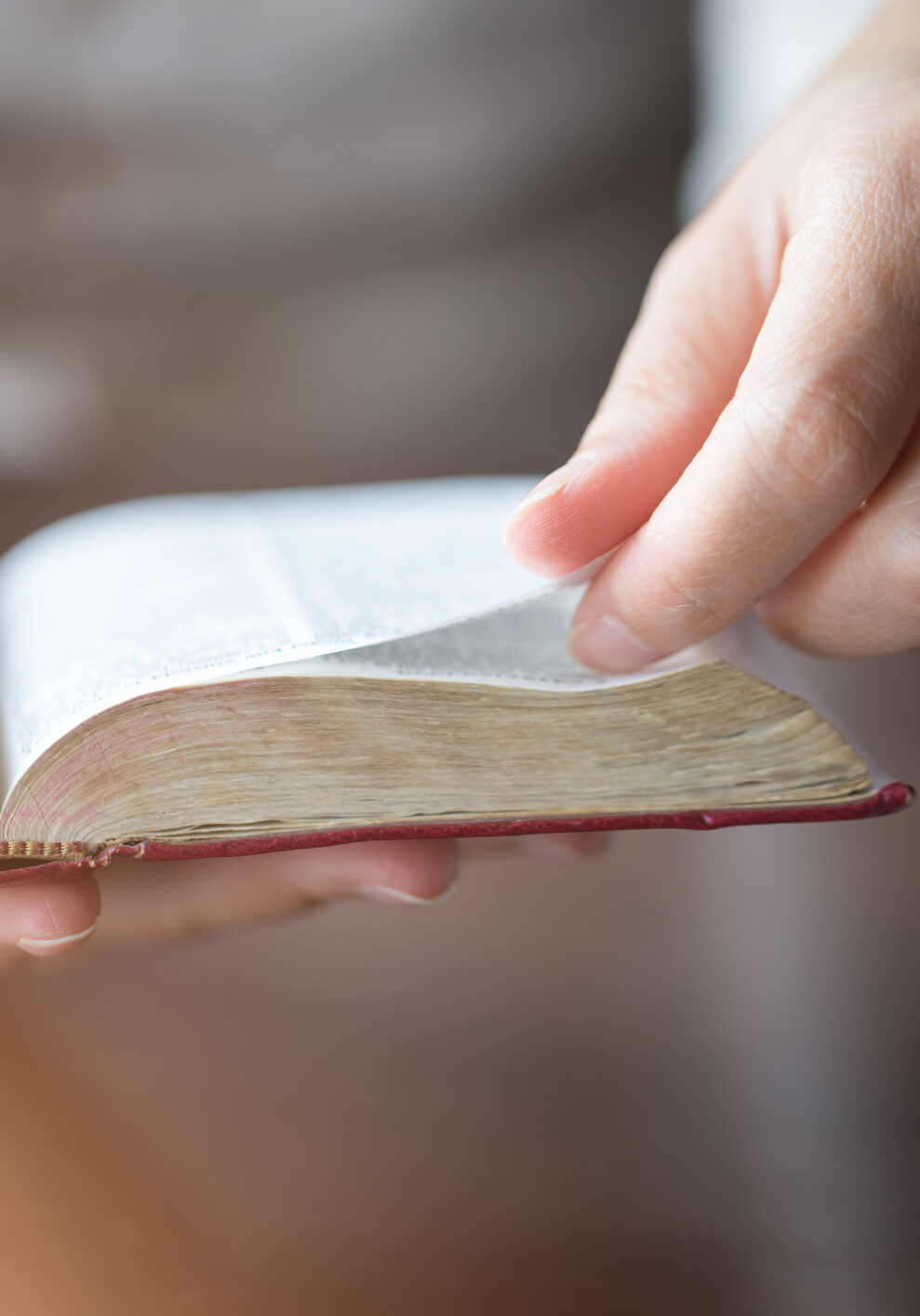 Women reading the Holy Bible